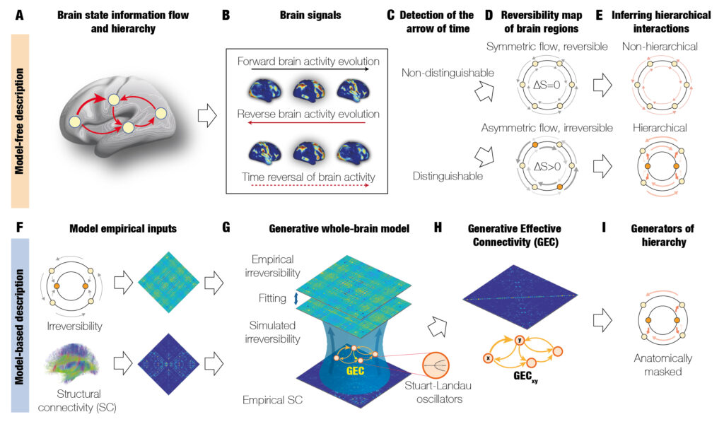 Thermodynamics of Mind